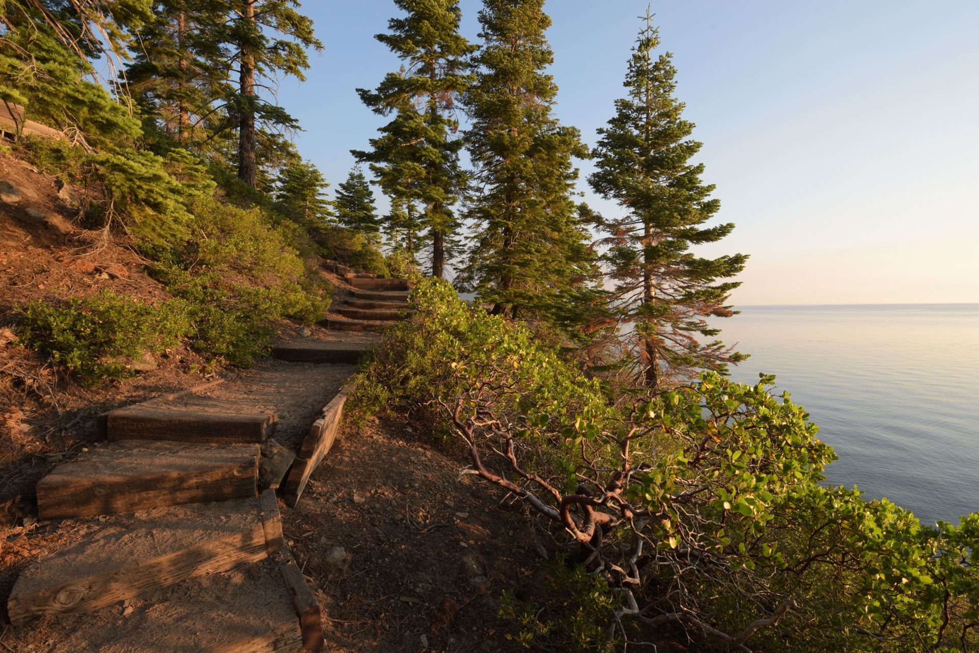 A costal trail where the sea is visible next to green trees and a staircase trail.