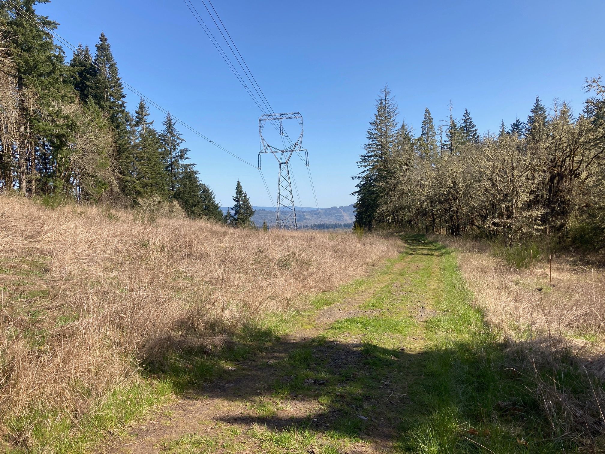 BPA Access Road north of Trails 4 and 46 intersection