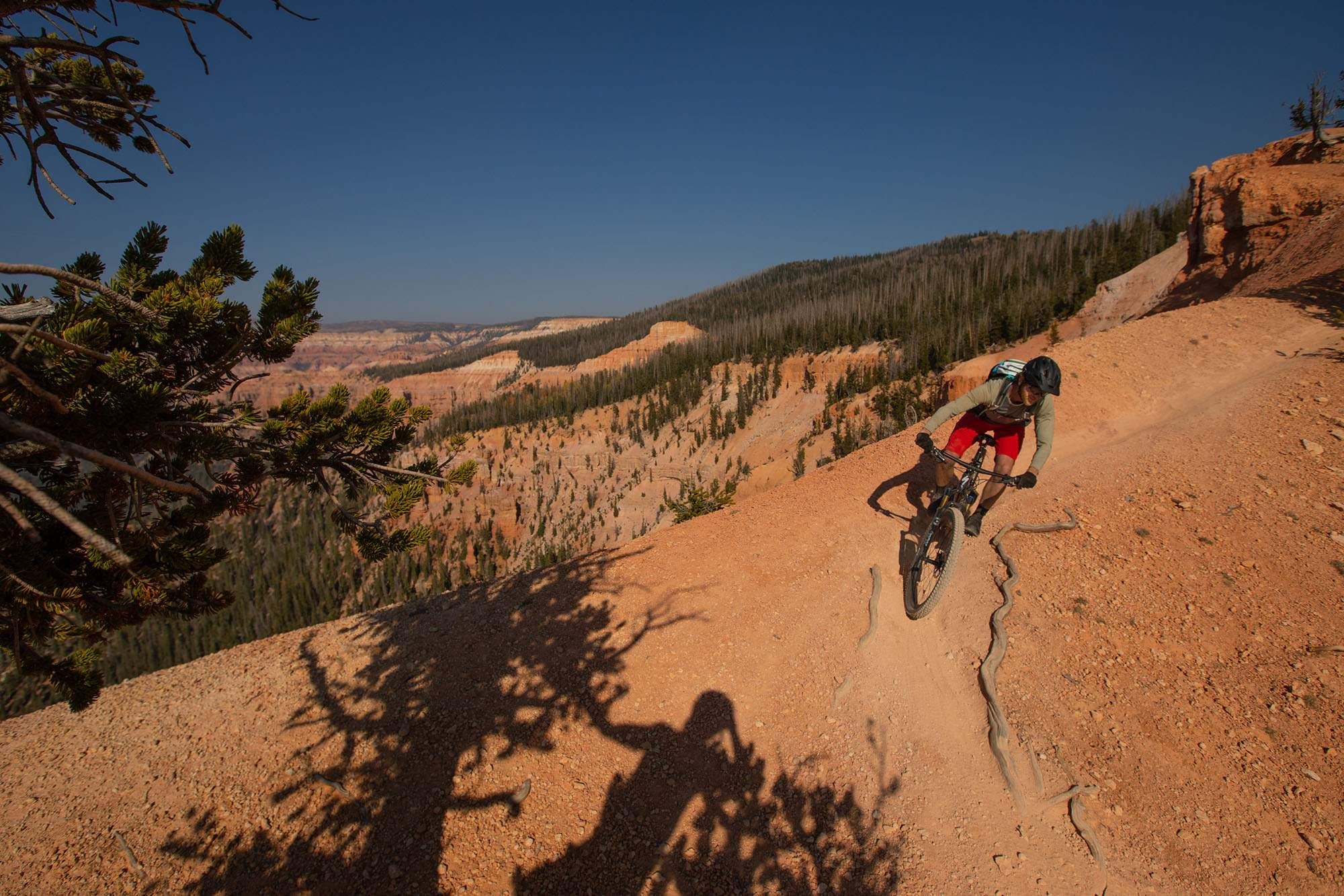 Riding the Blowhard Trail in Dixie National Forest.