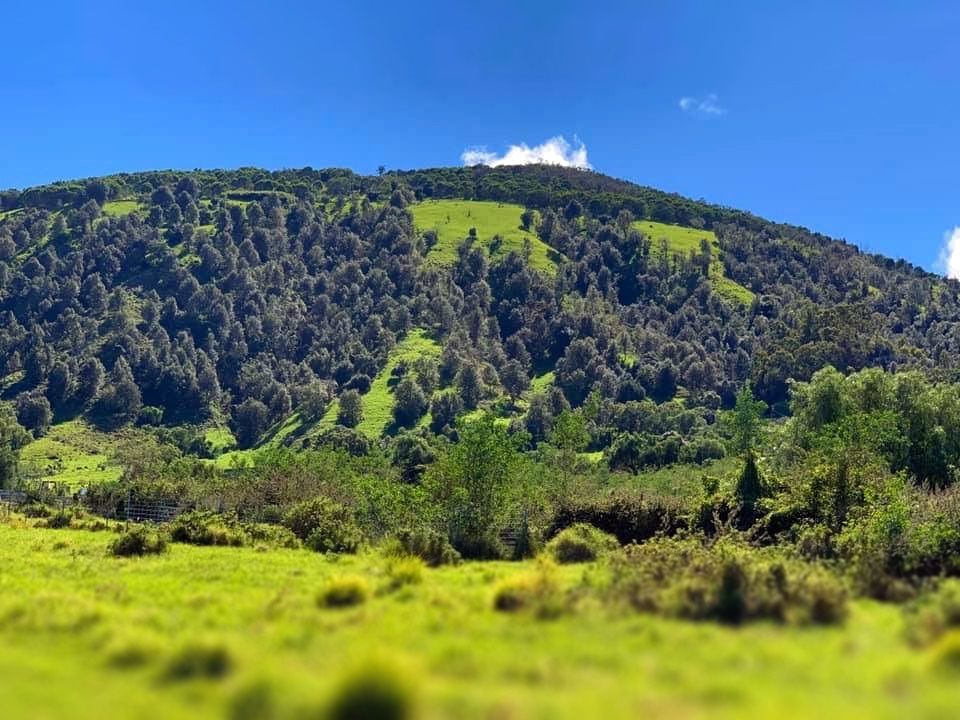 After walking up Volcanite Road or the ‘Ōhi‘a Trail, the Cone Trail starts at the base of Pu‘u Wa‘awa‘a.