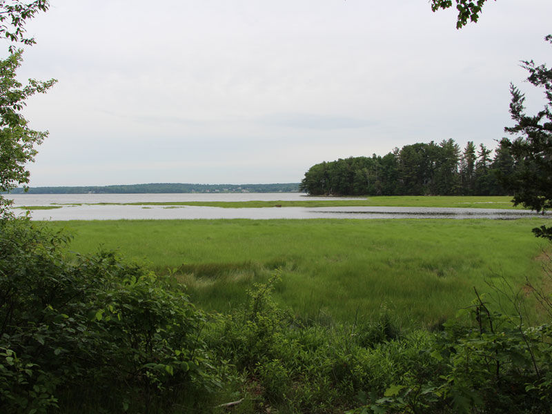 A view of the water beyond the green forest.