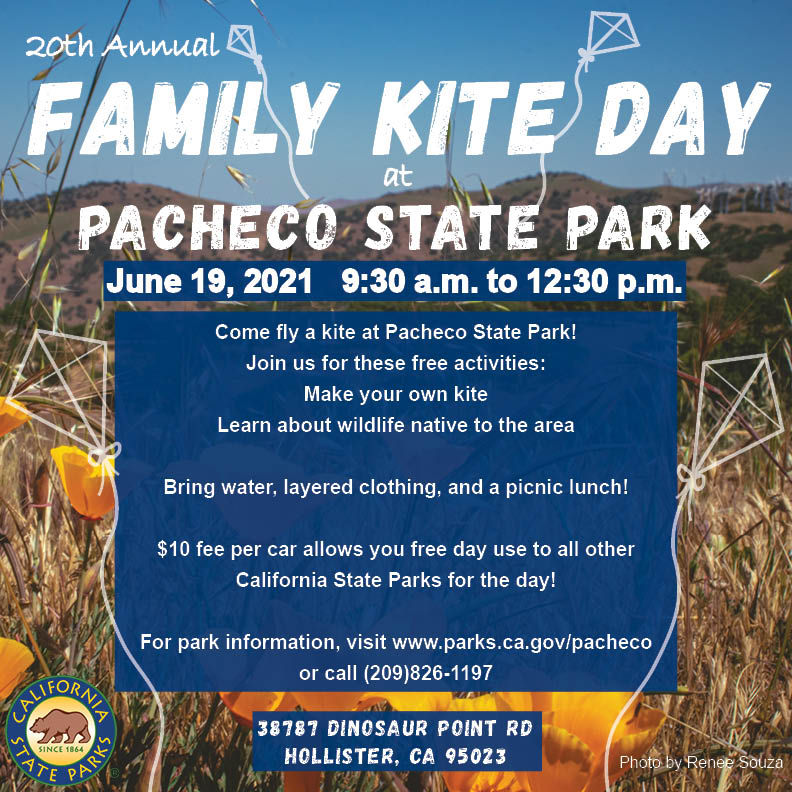 20th Annual Family Kite Day Graphic