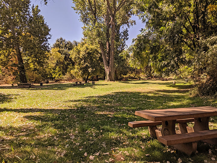 Caswell Picnic Area