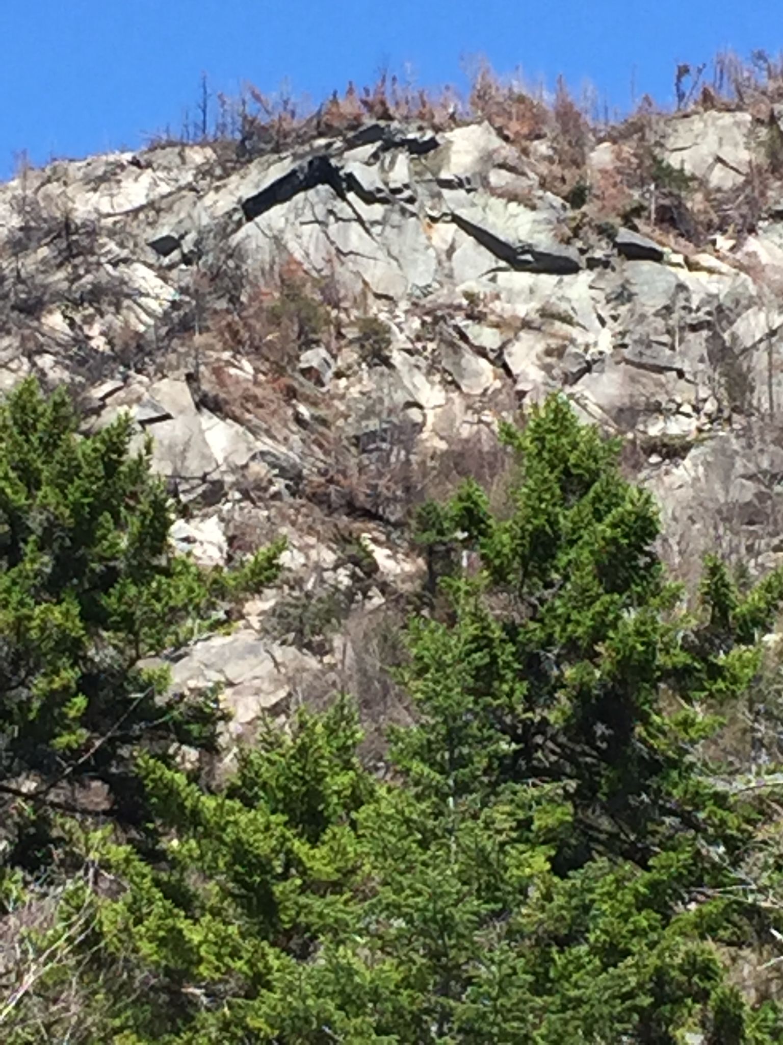 A view of the upper ledges of the Dilly Cliff, now scarred by a 2017 wildfire.