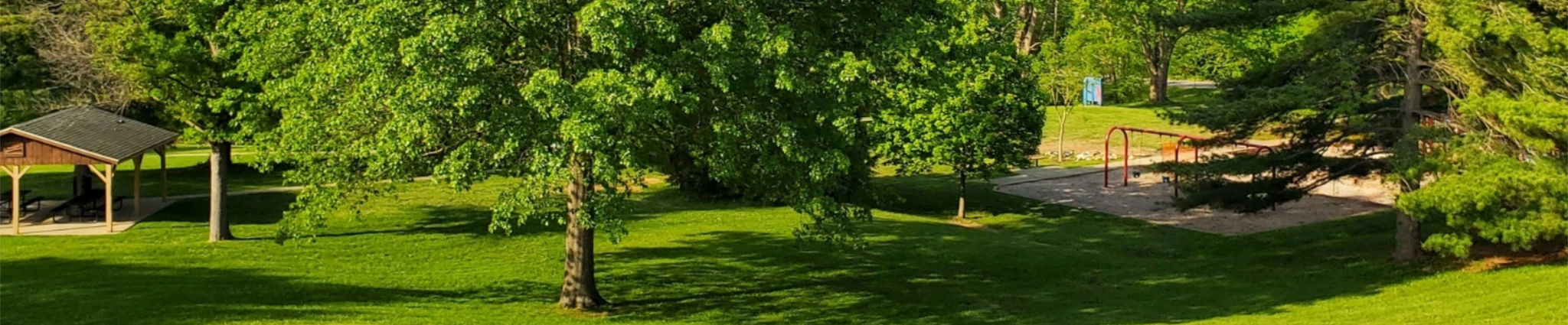 Photo of bright green grass and a big tree in Butler Park 