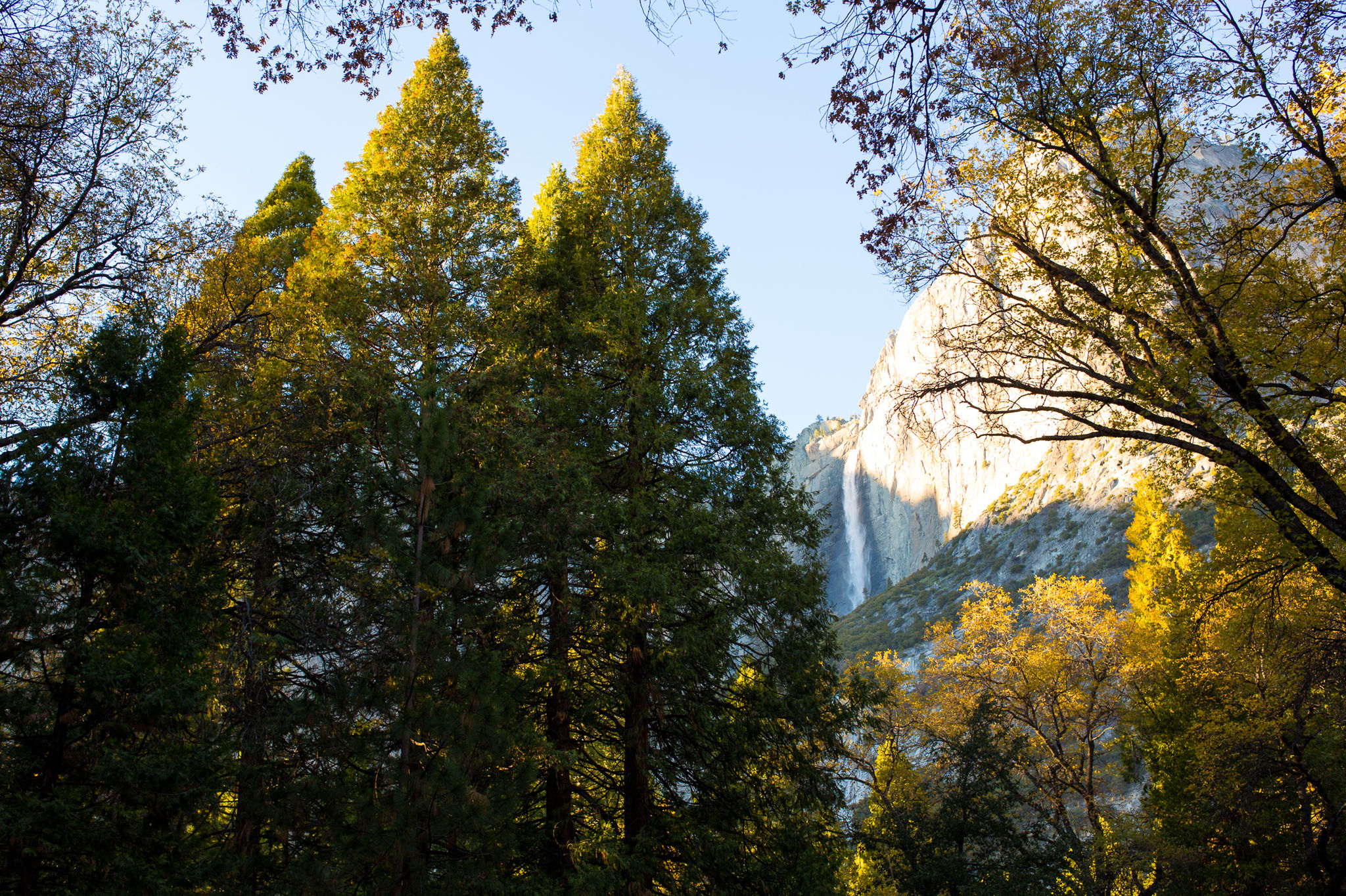 A nice view of Lower Yosemite Falls