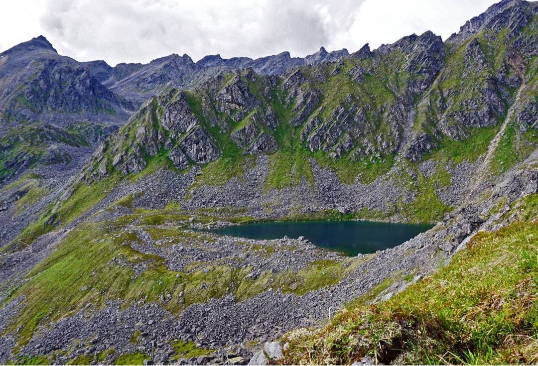 Gold cord Lake from Micro Dot. 