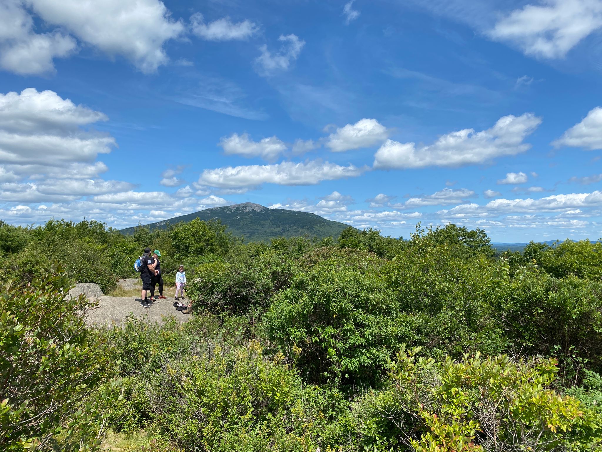 A view of Mount Monadnock in summer.