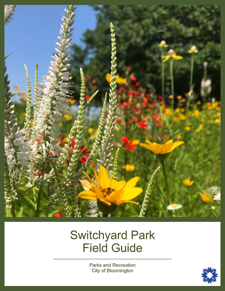 Switchyard Park Field Guide