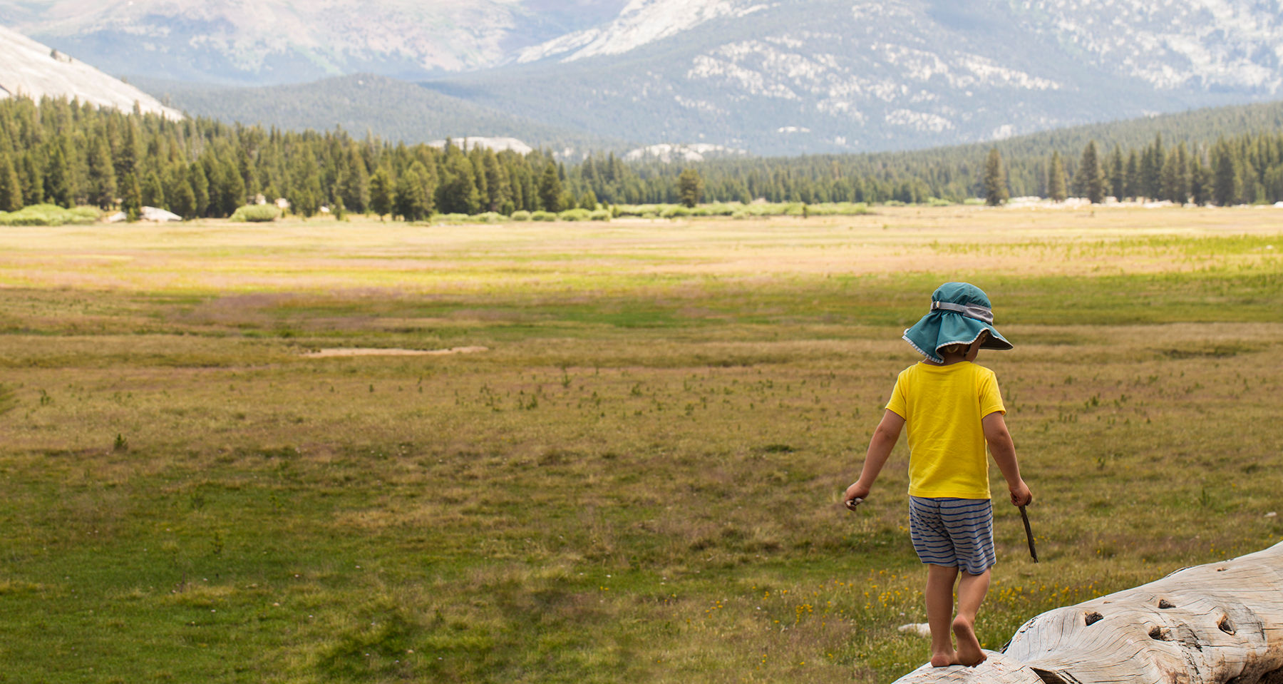 Little one playing in Tuolumne Meadows