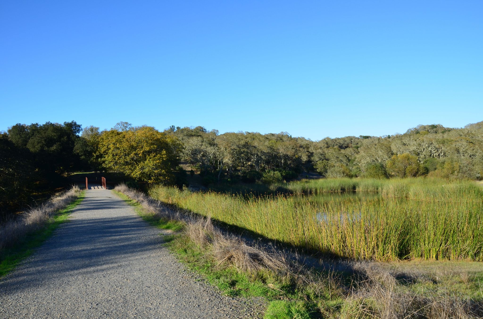 Foothill Regional Park – Three Lakes Trail