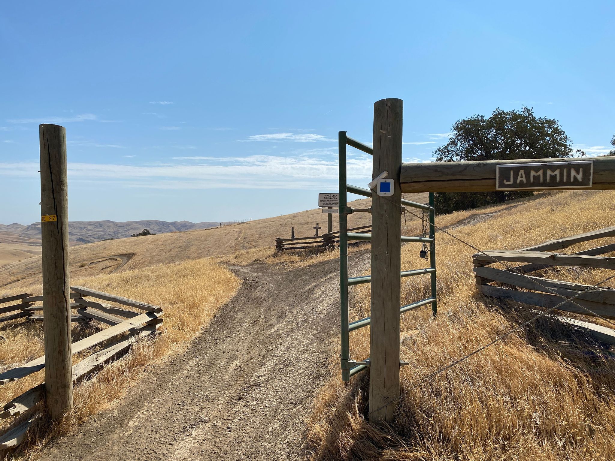 First Jammin Trailhead Entrance on Los Osos, Blue Square Intermediate