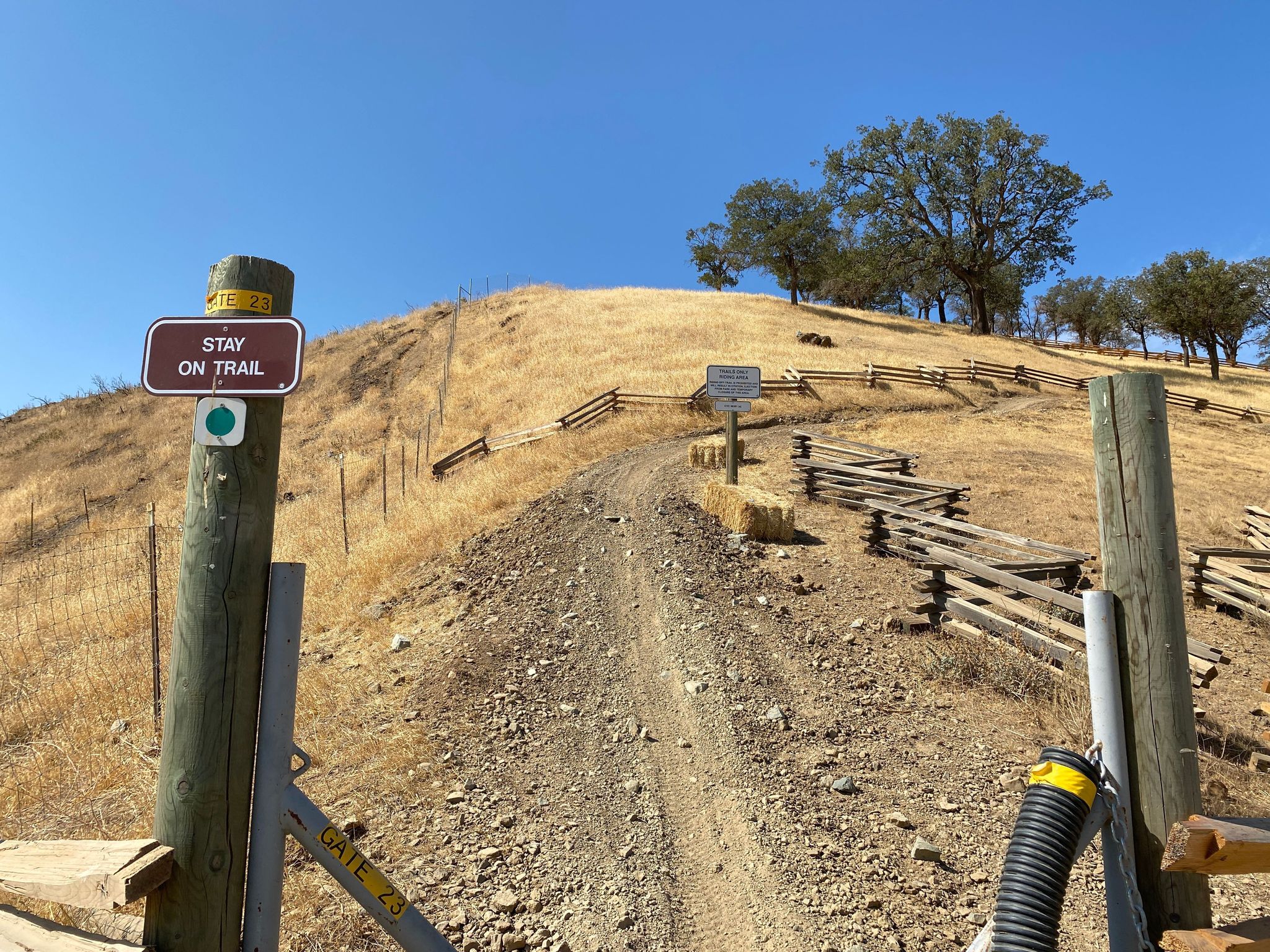 First Los Osos Knoll Trailhead Entrance on Los Osos, Green Circle Easy