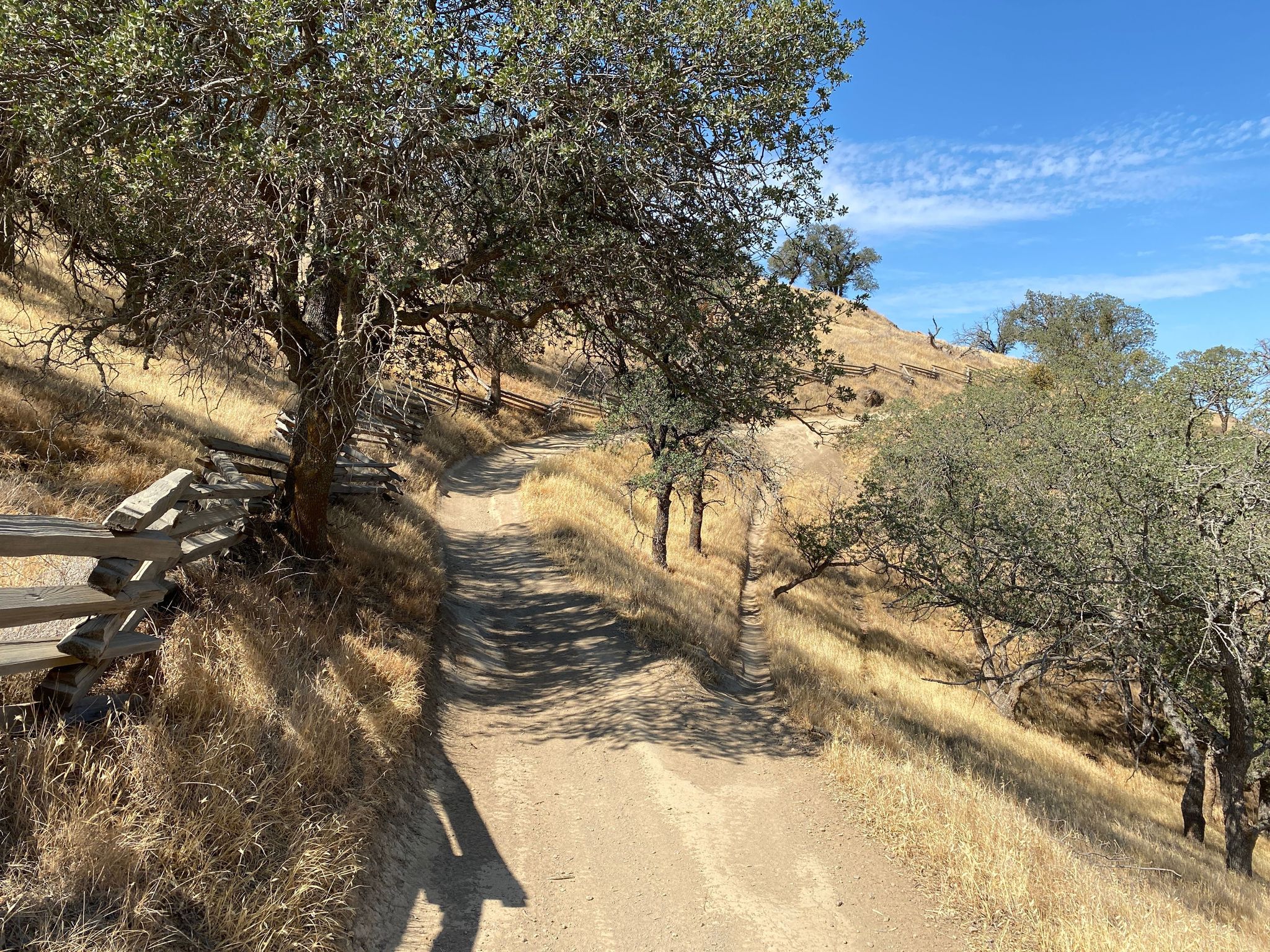 Thrasher Trail on Los Osos