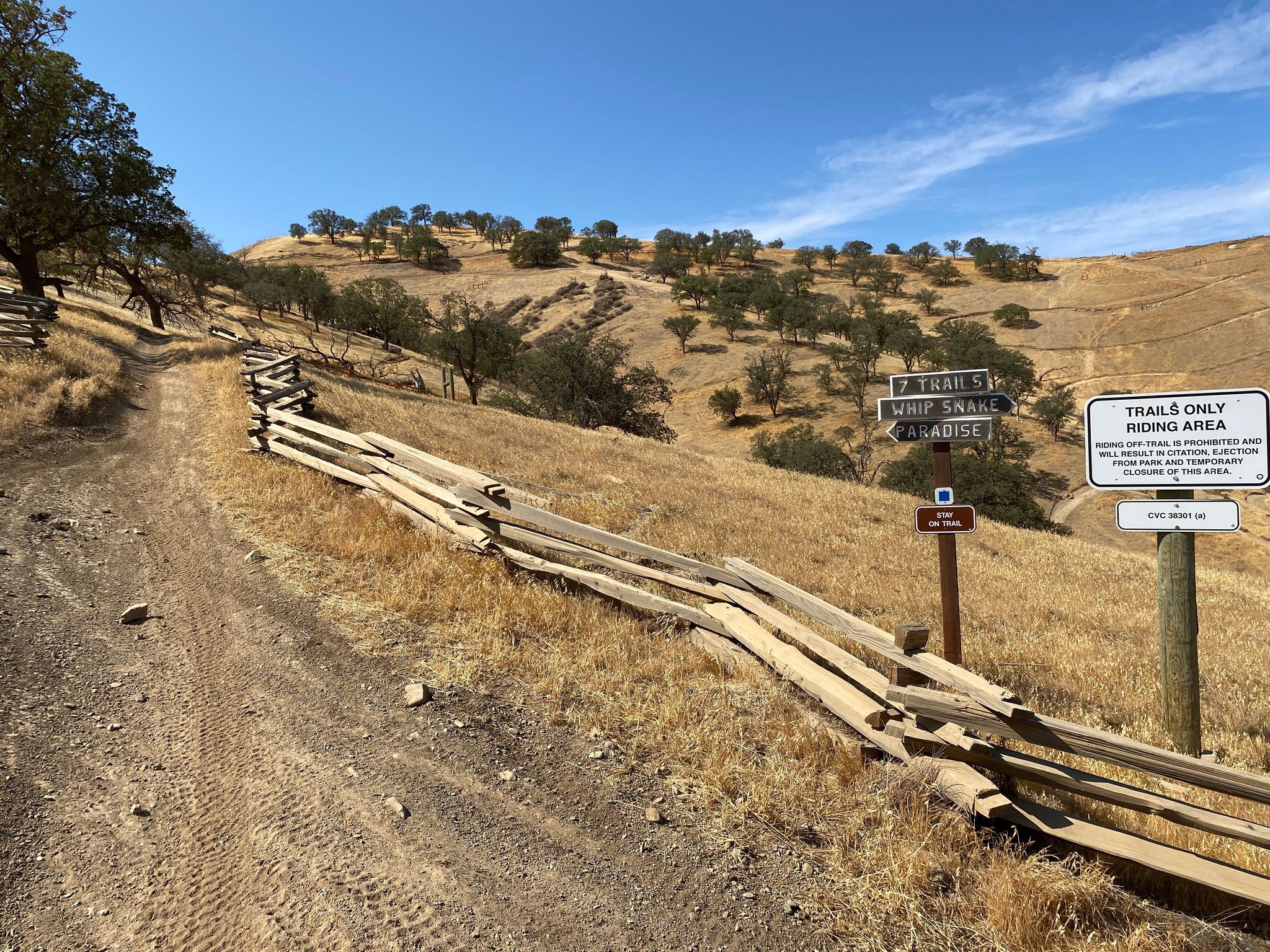 First Paradise Trailhead Entrance on Los Osos, Blue Square Intermediate