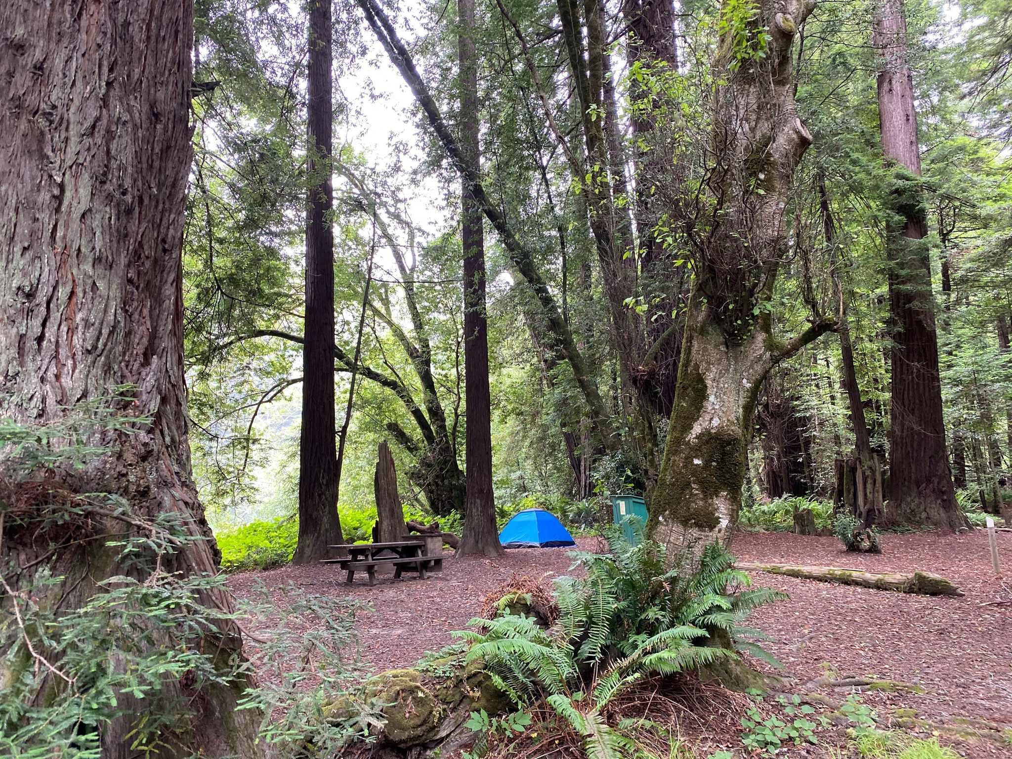 Gualala Point Regional Park - campground