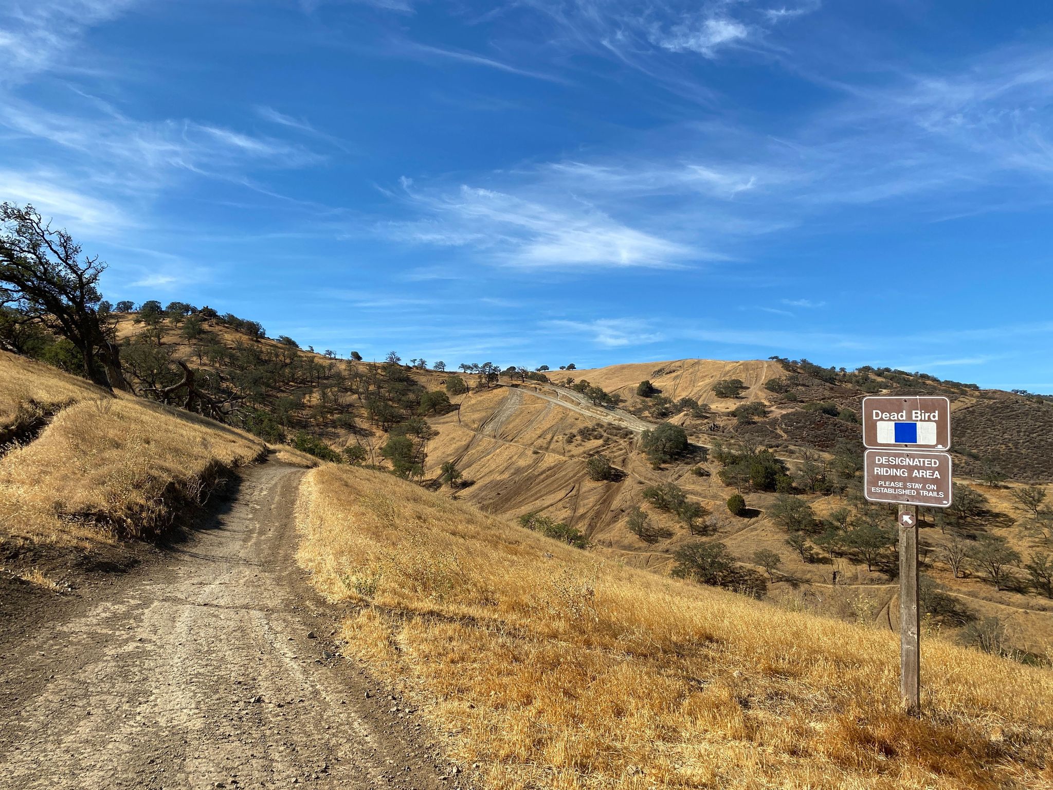 Dead Bird Trailhead on Juniper, Blue Square Difficult