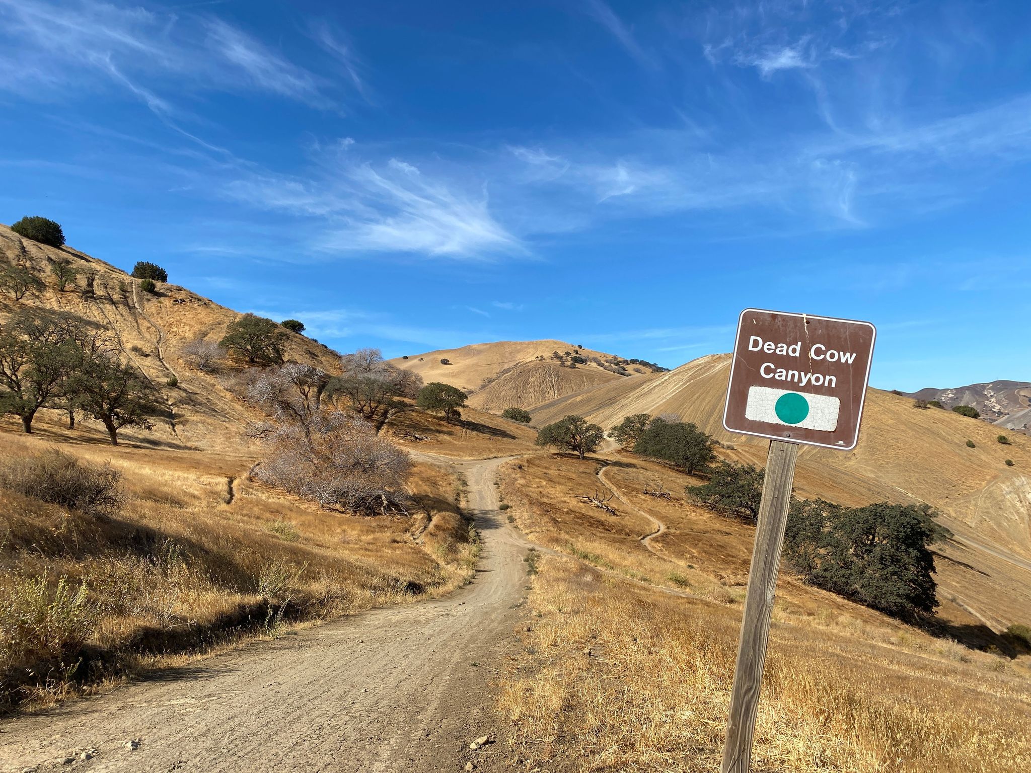 Dead Cow Canyon Trailhead on Juniper, Green Circle Easy