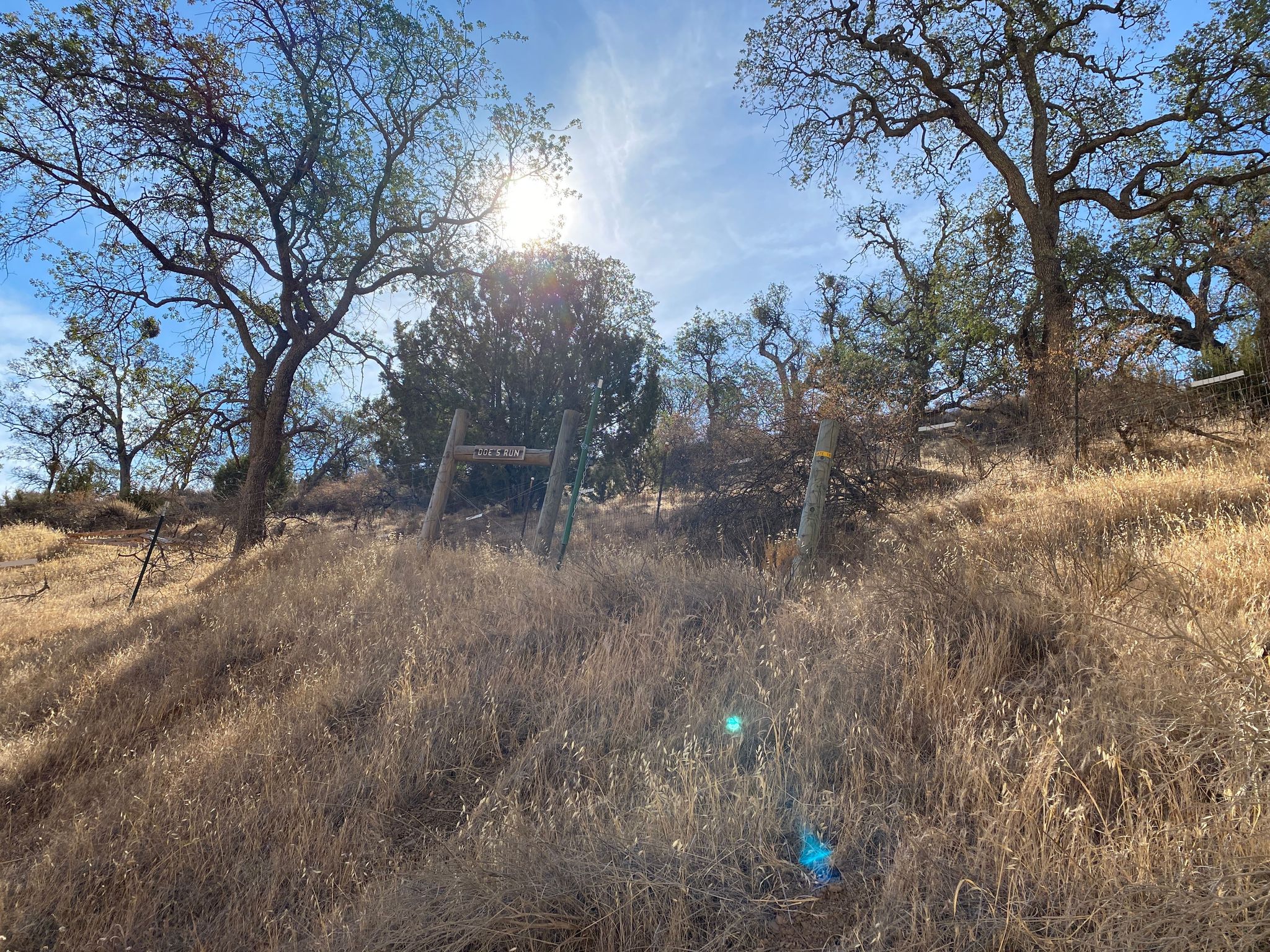 Doe's Run Trailhead on Los Osos, Black Diamond (Difficult)