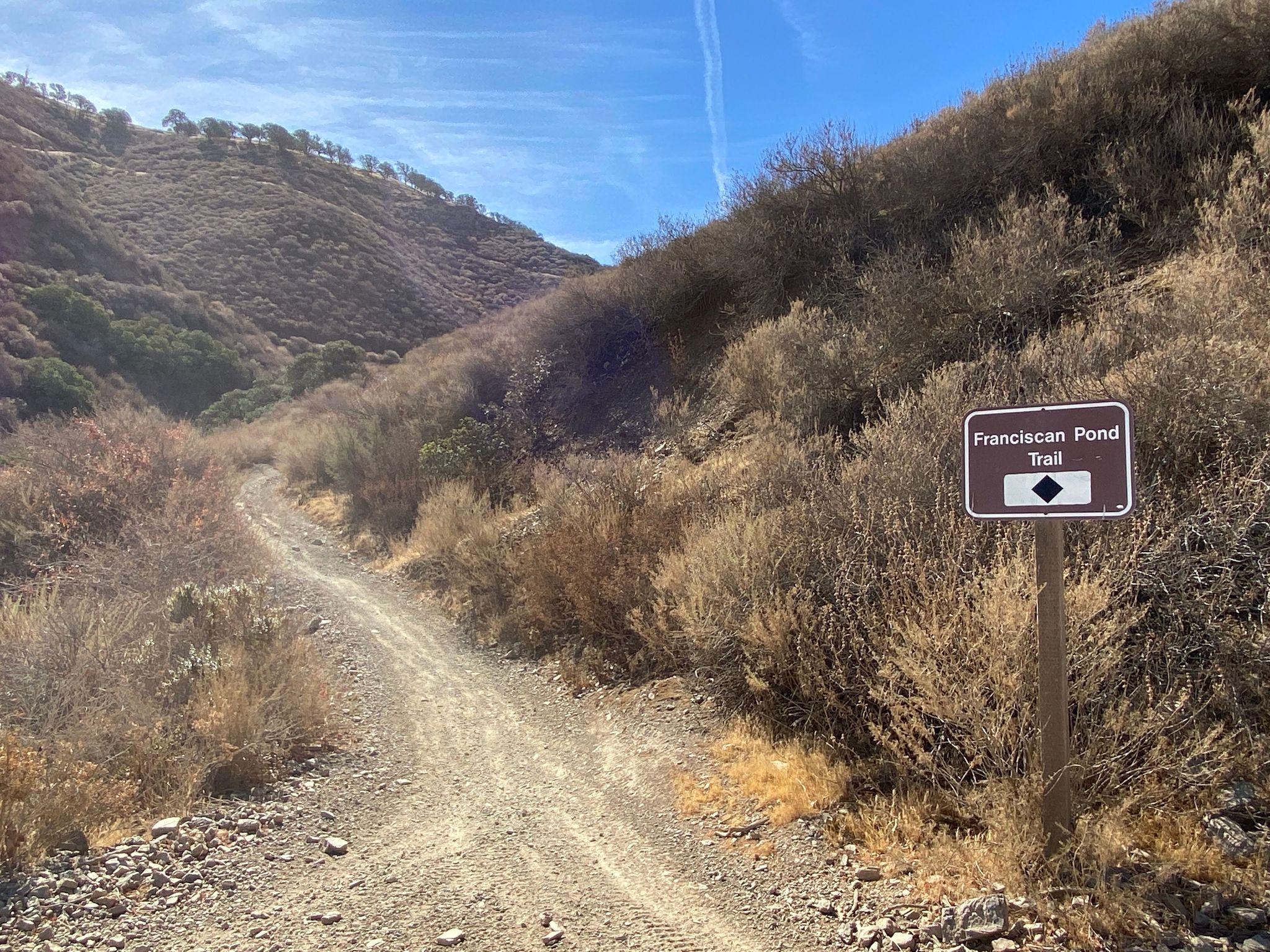 Franciscan Pond Trailhead on Juniper, Black Diamond (Difficult)