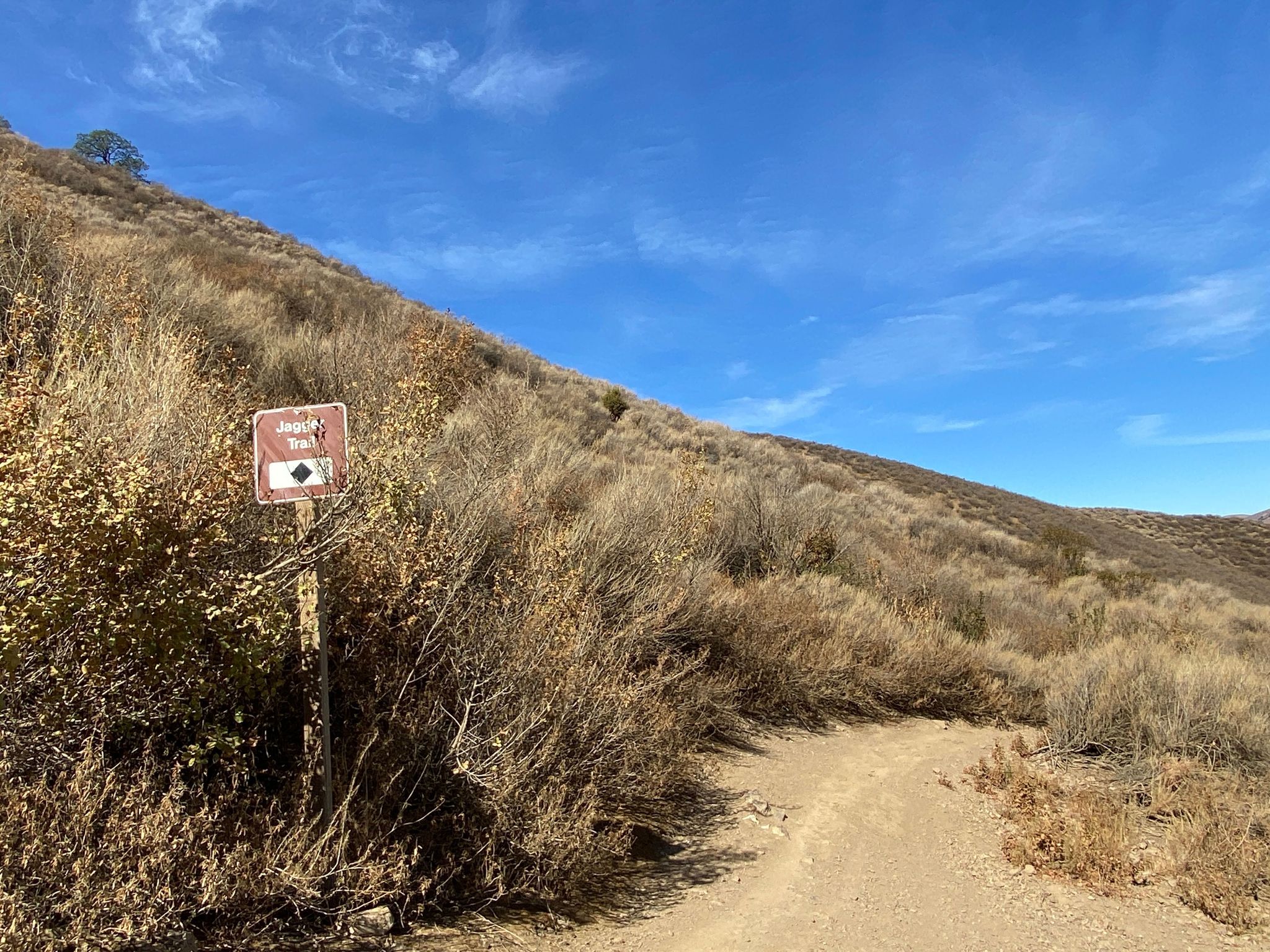 Jagger Trailhead on Franciscan Loop Trail, Black Diamond (Difficult)