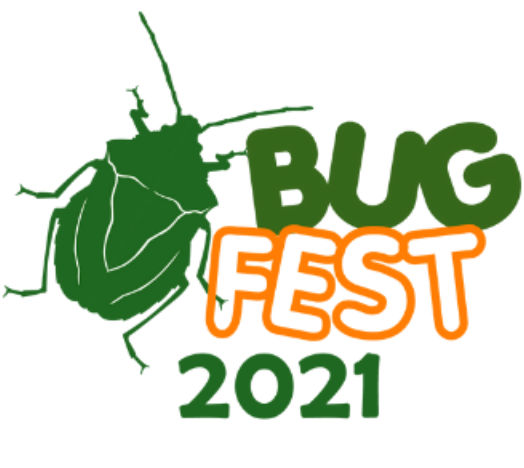 Bug Fest 2021