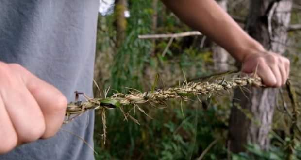 Natural Rope and Plant Cordage Program 