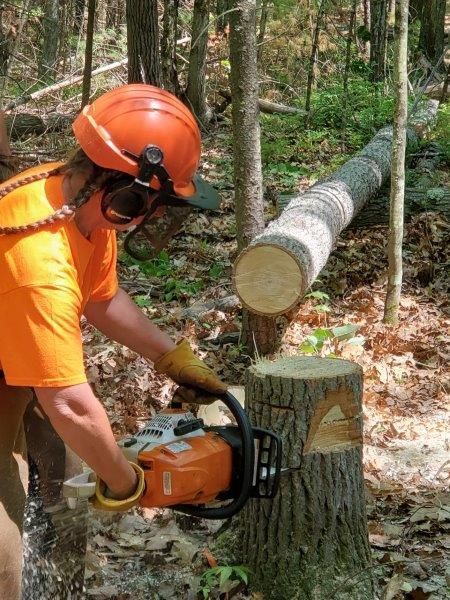 A woman with braids using a chainsaw.