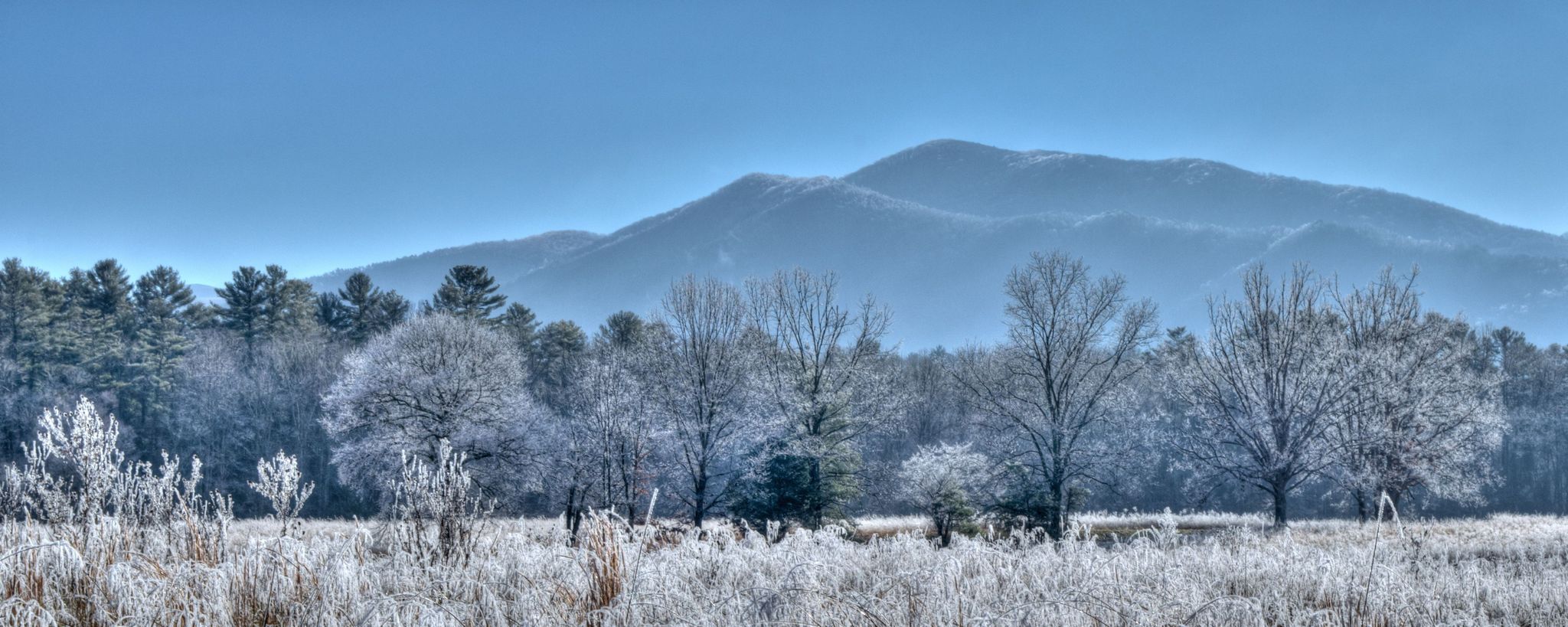 Wintertime brings a quiet beauty to the Great Smoky Mountains.