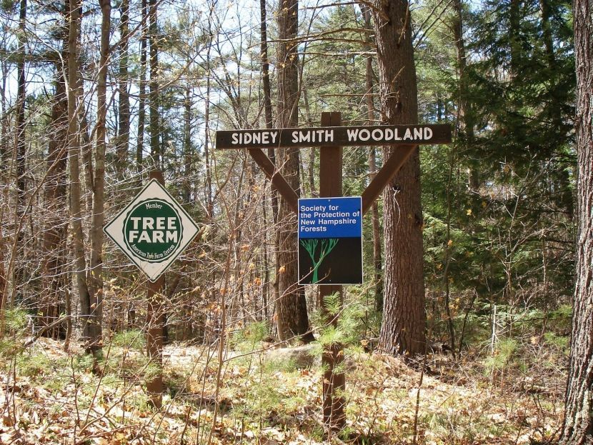 A Forest Society sign says Sidney Smith Woodland with a tree farm sign next to it in the woods.