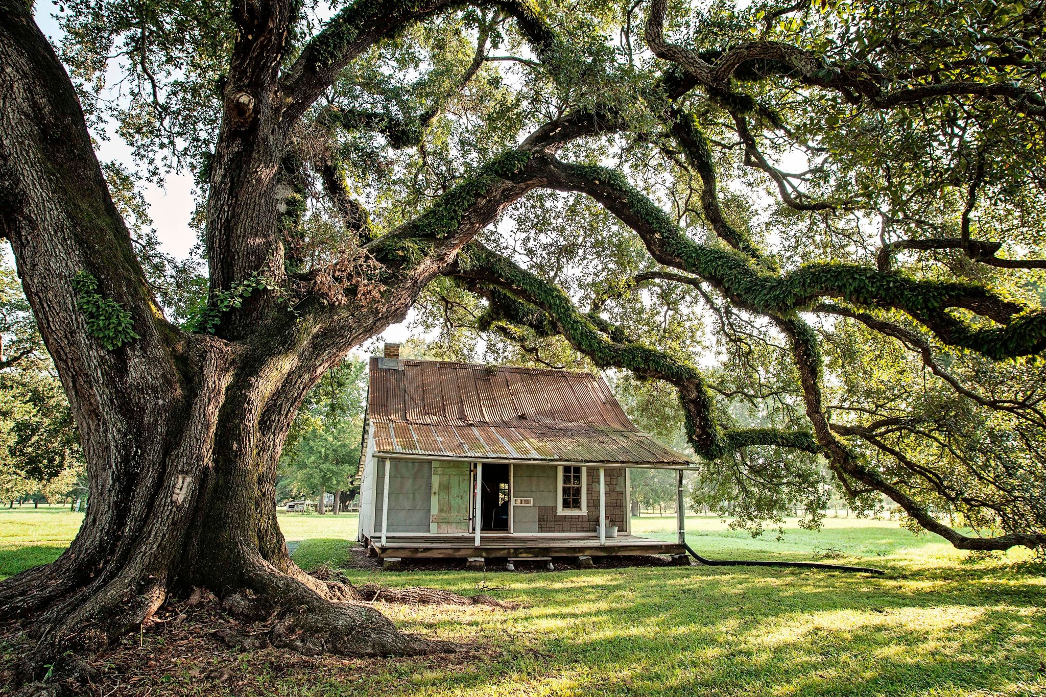 One of two remaining cabins built for enslaved workers on Oakland Plantation. The cabin was lived in by sharecroppers into the 1960s.