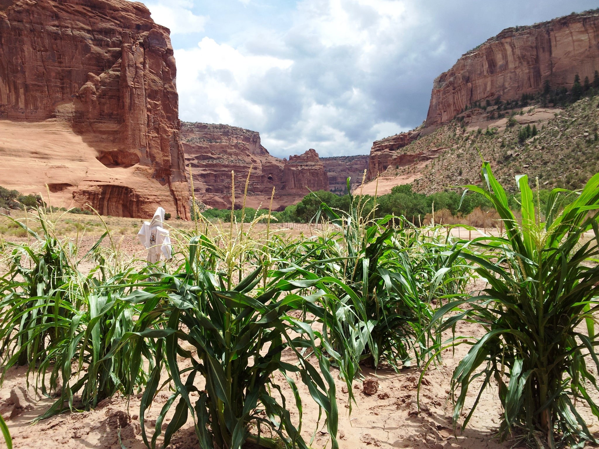Navajo families continue to live and farm in the canyon they call Tsegi
