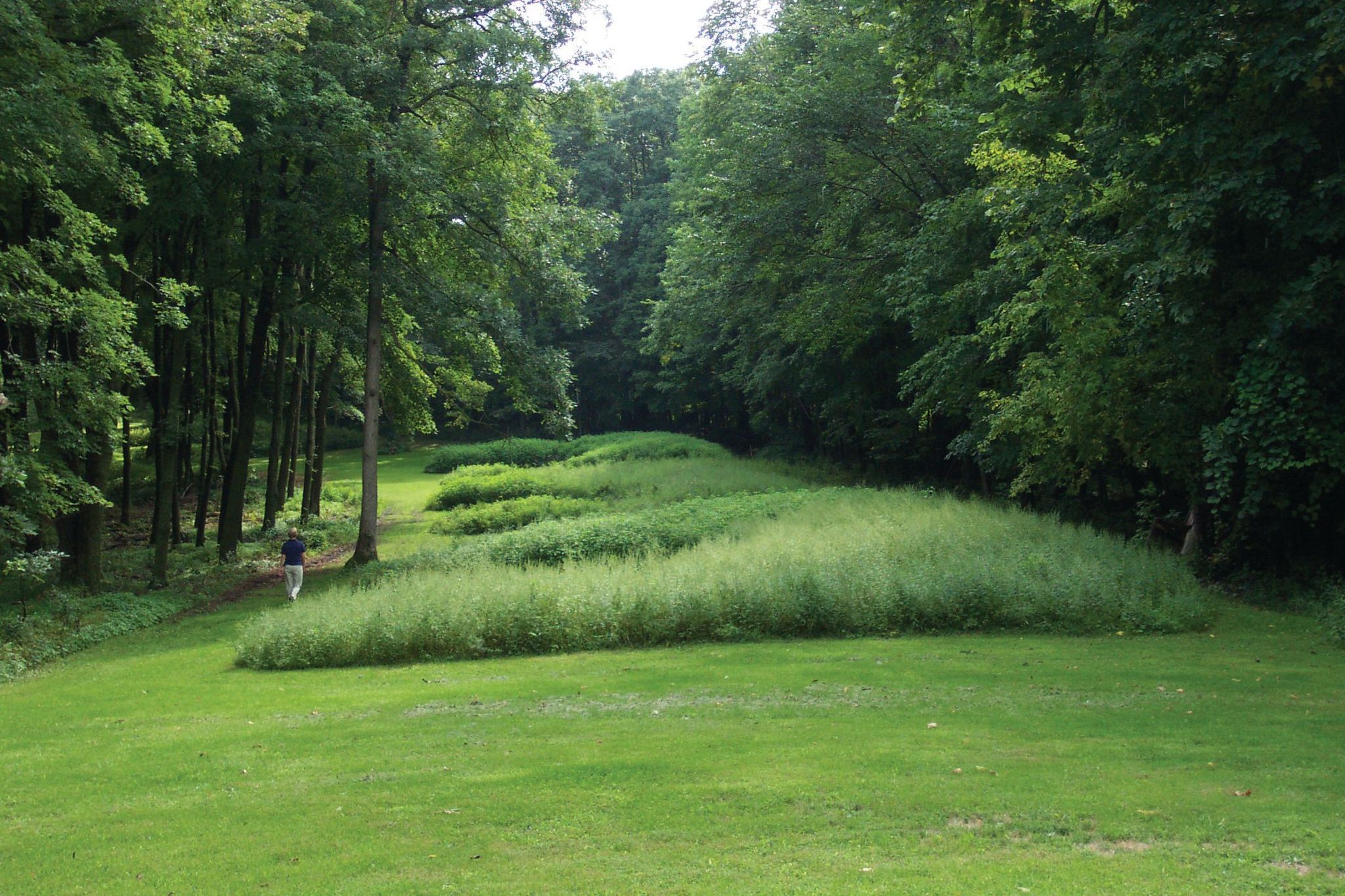 Marching Bear Mound Group in summer.