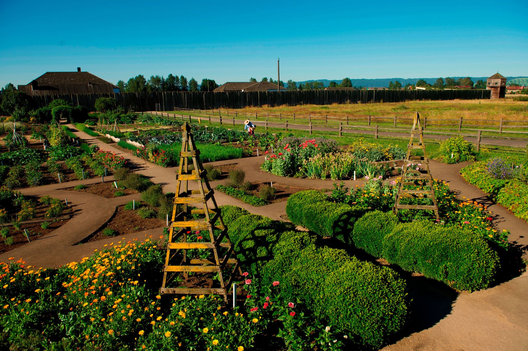 The garden at the reconstructed Fort Vancouver showcases the many plants that were grown at the historic Fort Vancouver.
