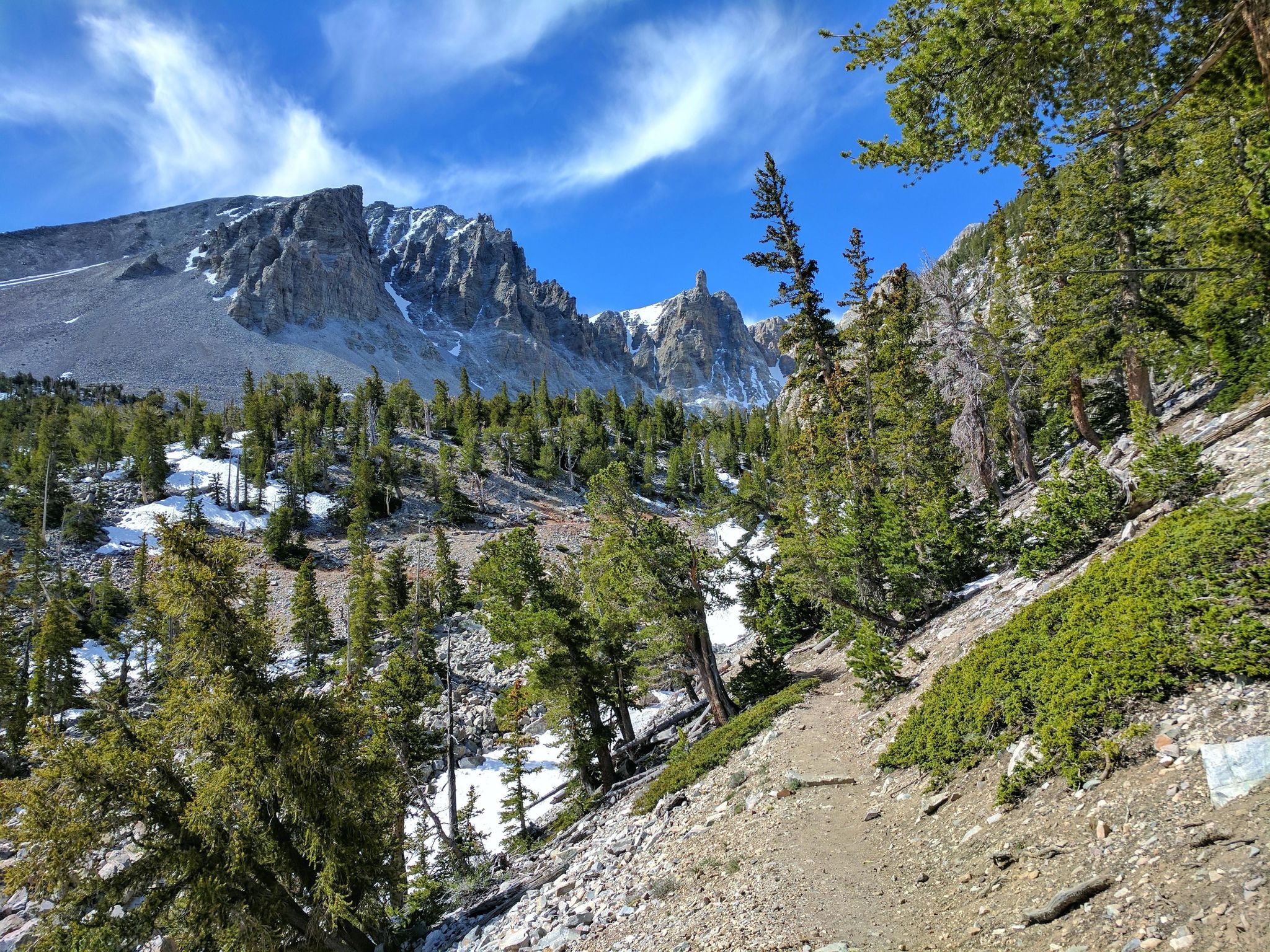 Trail to ancient bristlecone pine trees.