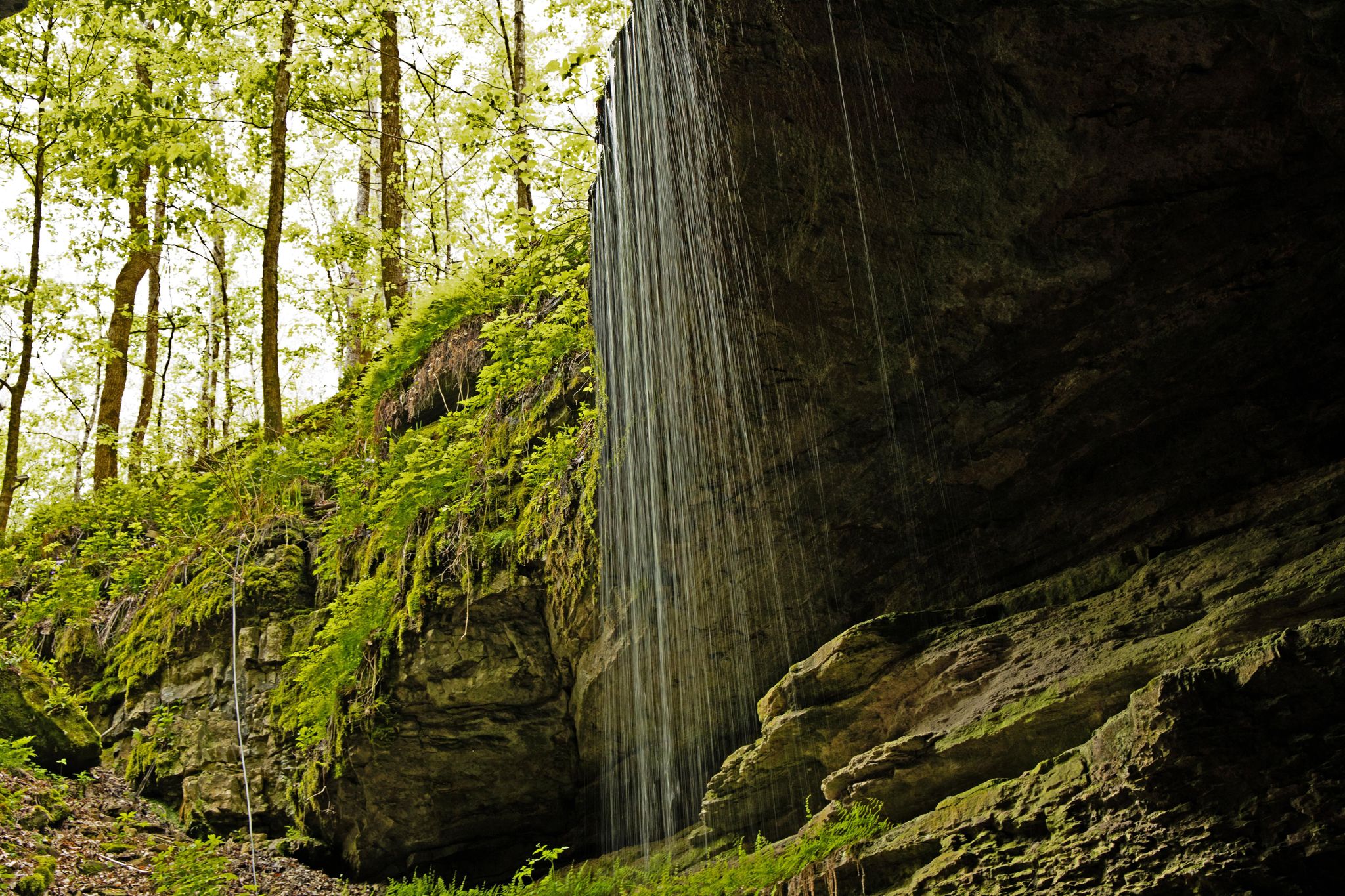 The sound of falling water welcomes visitors into the natural entrance of Mammoth Cave.
