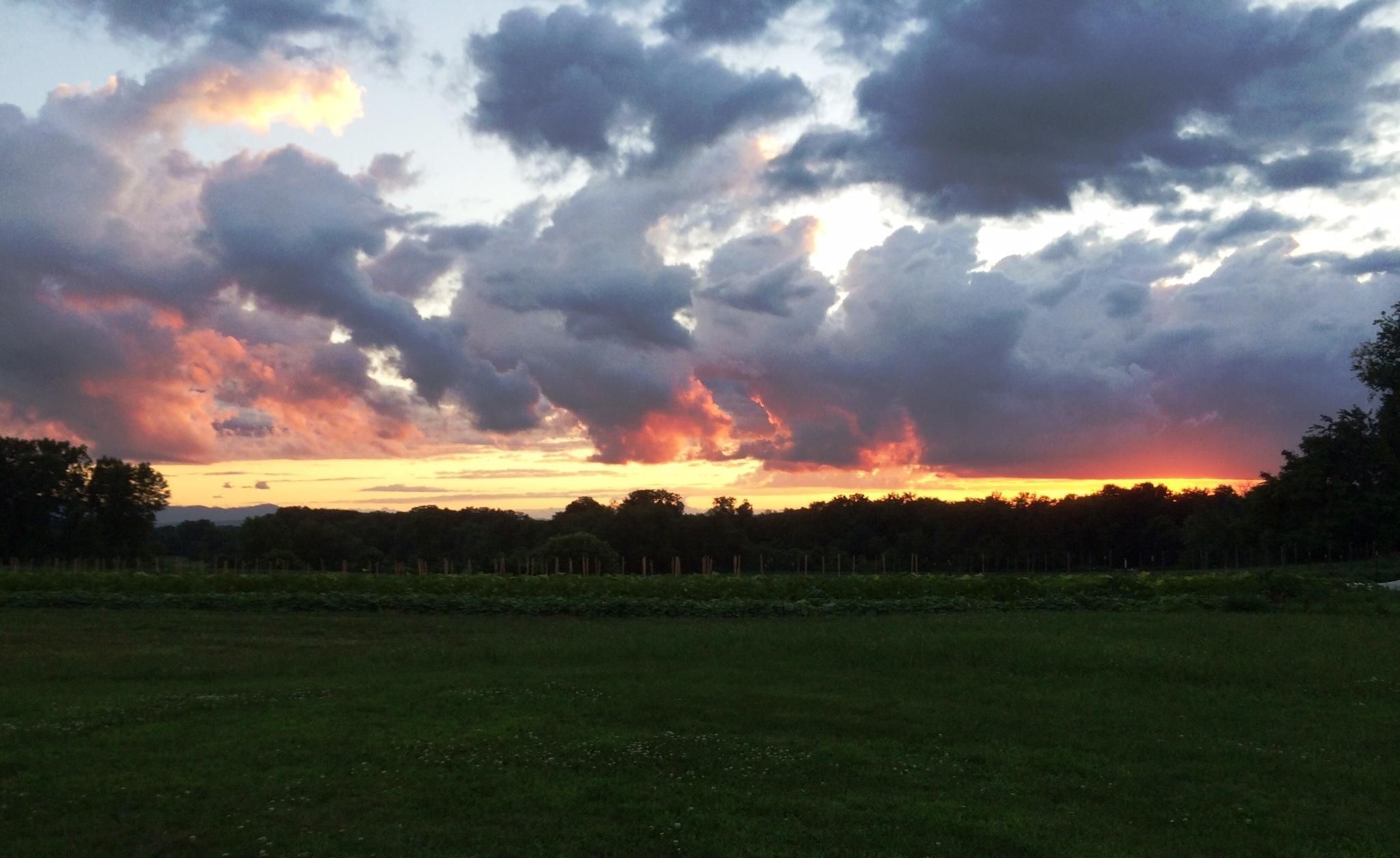A stunning sunset over the the fields of Lindenwald with the Catskill Mountains rising in the distance.