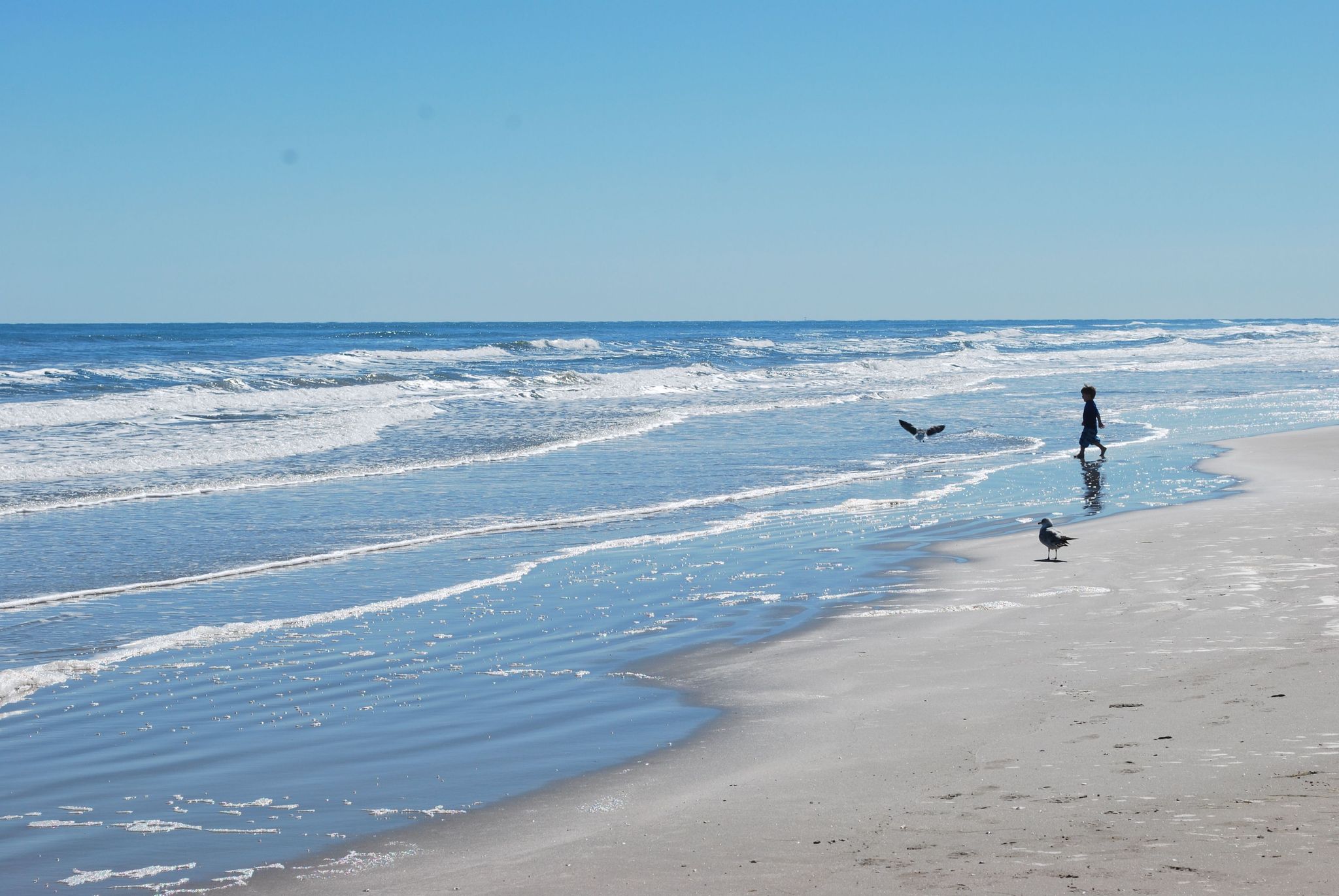 Over 60 miles of beach offers beautiful scenery and fun for the whole family.