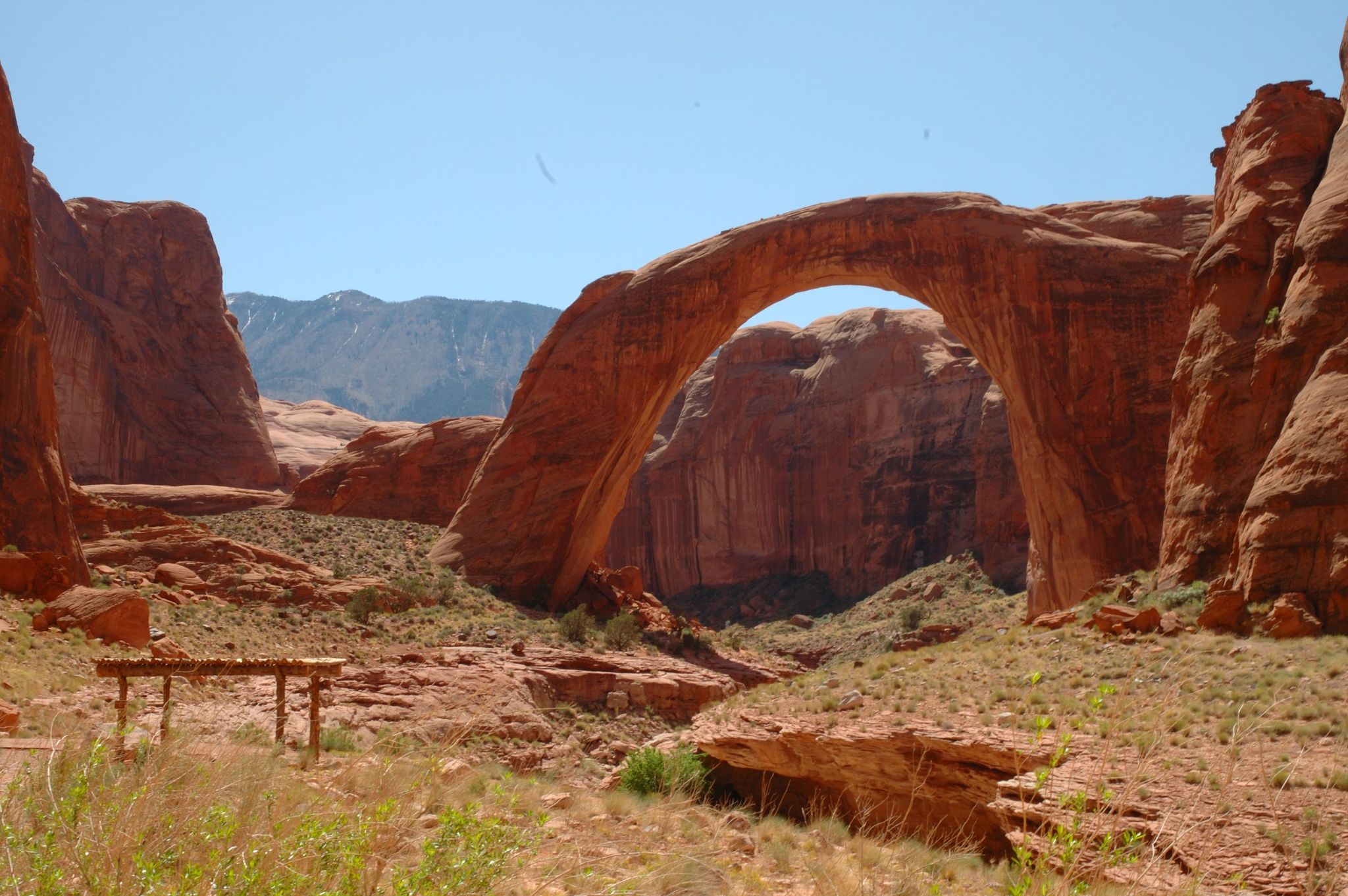 Stand here and take in the majesty of Rainbow Bridge - the largest natural bridge in the National Park Service.