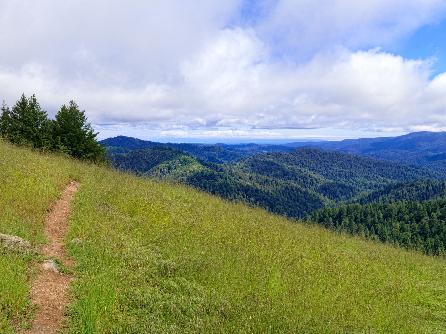 Nature trail surrounded by verdant green grasslands overlooking the Santa Cruz Mountains