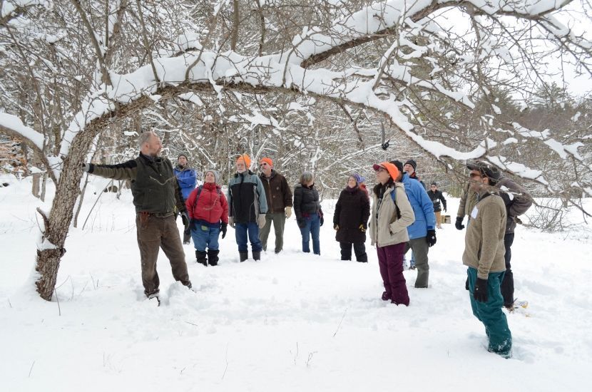 The Rocks manager Nigel Manley points to a snow-covered wild apple tree during a workshop while attendees watch.