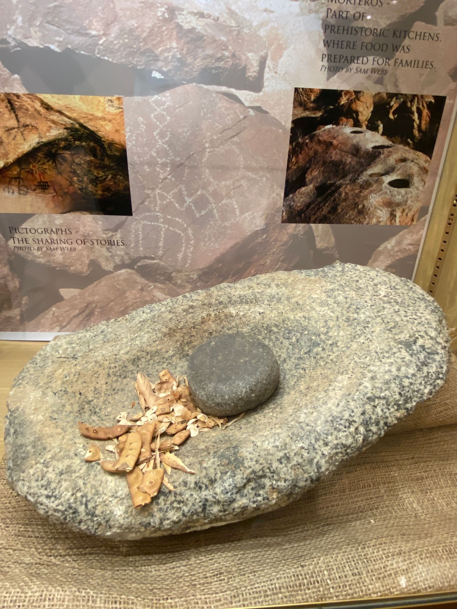 Archaeology Display