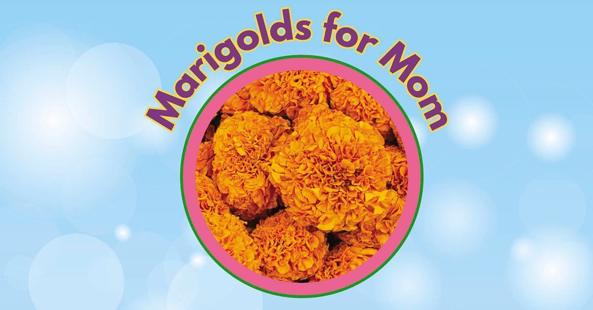 Marigolds for Mom Graphic