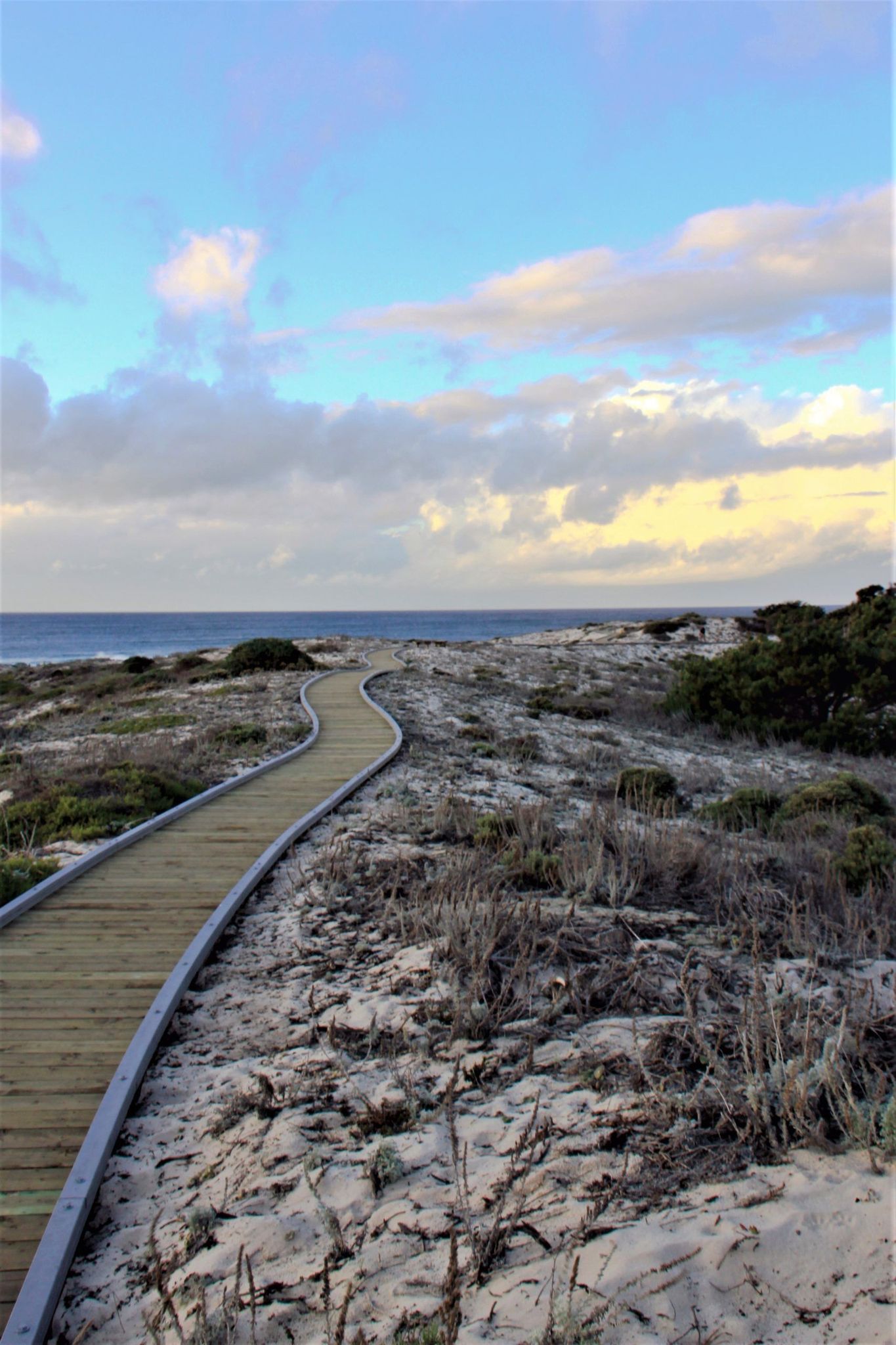 https://castateparksweek.org/wp-content/uploads/Asilomar-dune-boardwalk_Nichols_2011-Lisa-Bradford-scaled.jpg?wpId=1010