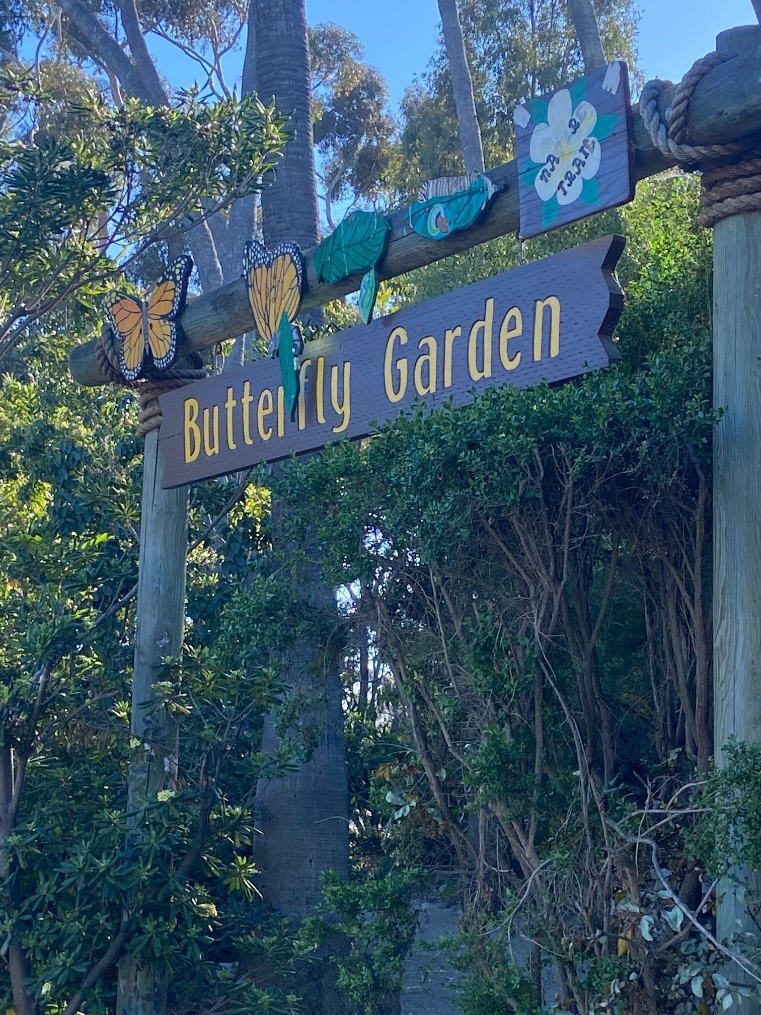 https://castateparksweek.org/wp-content/uploads/ButterflyGarden-OrangeCoastDistrict-CAStateParks.jpg?wpId=1002