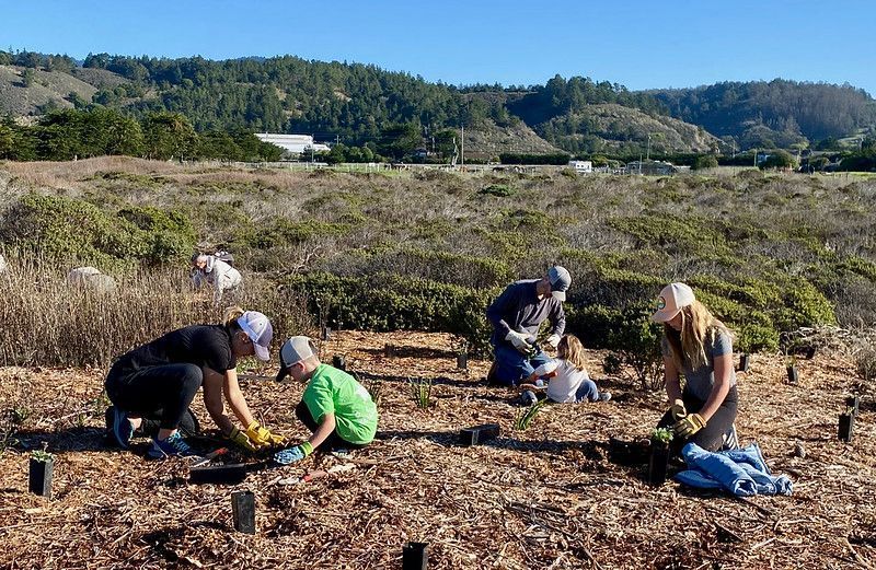 https://castateparksweek.org/wp-content/uploads/Planting-Joanne-Kerbavaz.jpg?wpId=1015