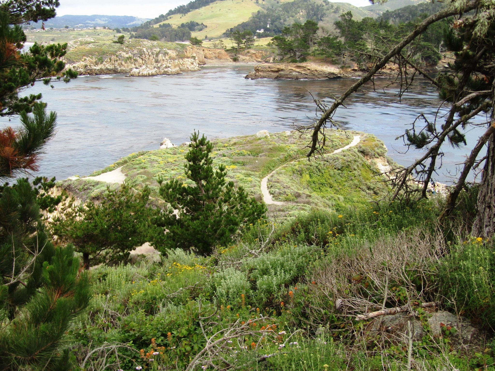 https://castateparksweek.org/wp-content/uploads/PointLobos-scenes4_DWilliford-scaled.jpg?wpId=866