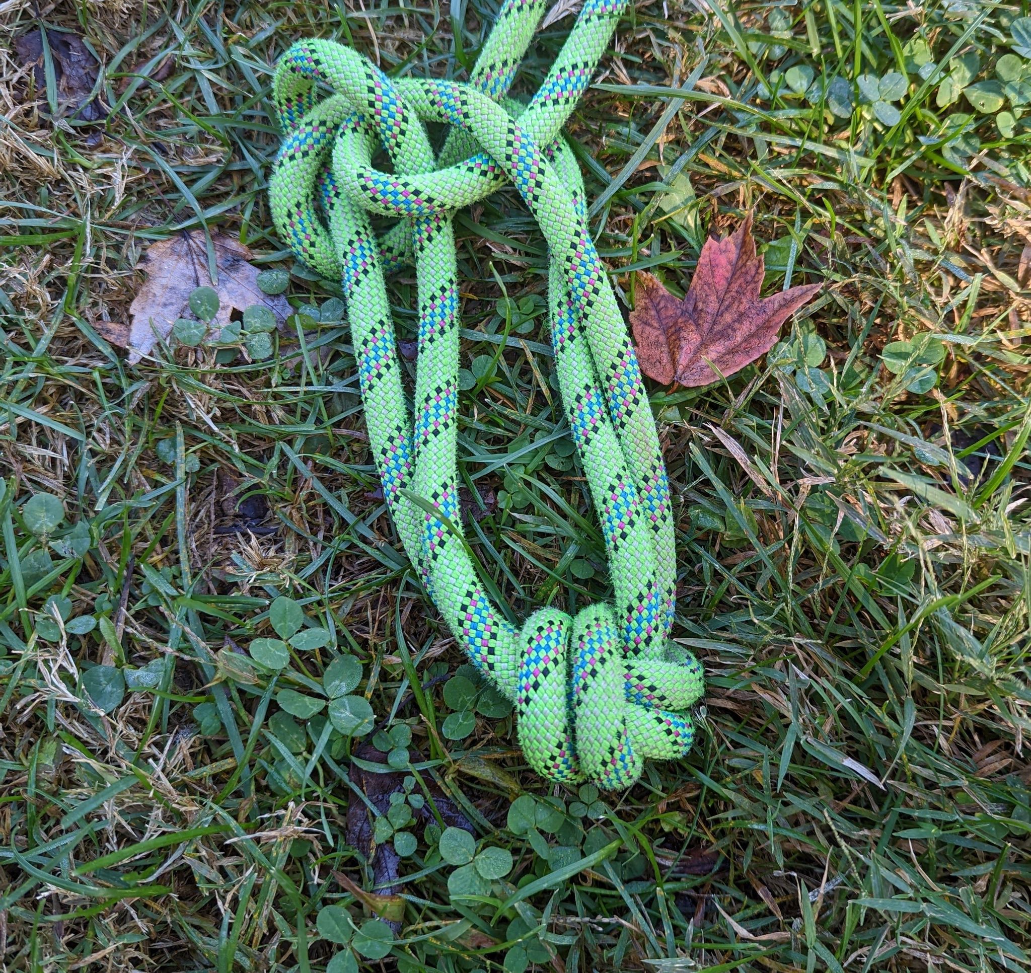 A green rope tied in knots laying in the grass