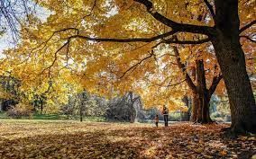 Fall at Finch Arboretum