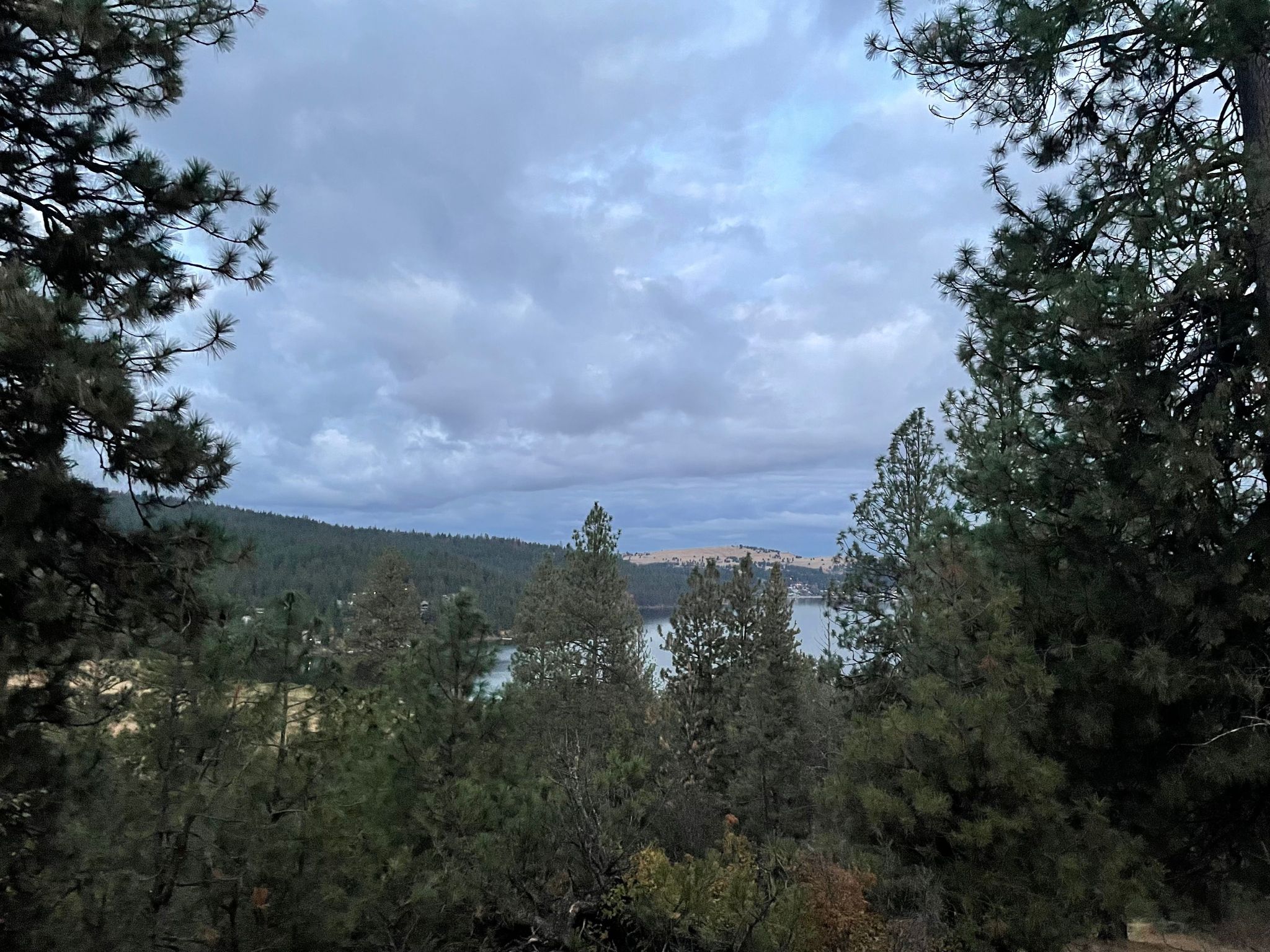 Looking down on Liberty Lake from a trail in the park